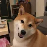 智憲（27 · 工程師）肖像